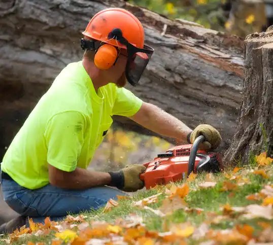 tree services Hornbeck